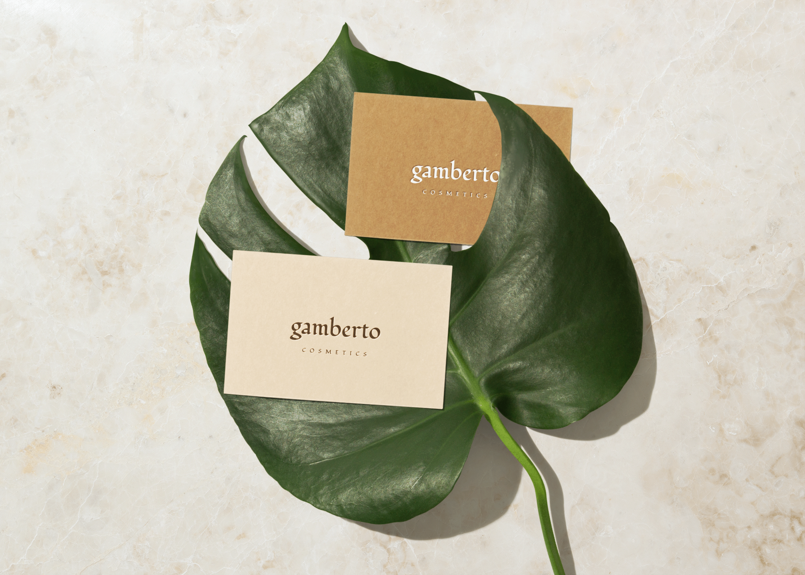 Business Card Mockup Scene Free Mockup Templates Artboard Studio